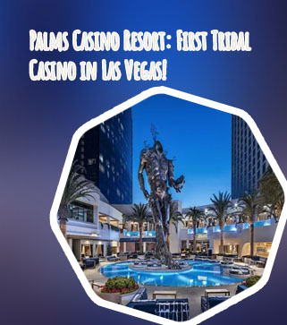 Palms casino online